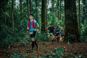 BIB: 
                            <button type="button" onclick="openModal(26094949)" class="btn btn-primary btn-sm float-right btn-popup" data-toggle="modal" data-target=".modal-high-quality">
                        <i class="fas fa-shopping-cart"></i> Add to Cart
                    </button>
                                            <button type="button" onclick="isThisMe(26094949, true)" class="btn btn-success btn-sm float-right btn-popup btn-isme hidden" data-toggle="tooltip" data-placement="bottom" title="นี่คือรูปของคุณใช่ไหม คลิกที่นี่เพื่อเอาเข้าอัลบั้ม">
                        <i class="fas fa-plus"></i> Add to album
                    </button>
                    <button type="button" onclick="isThisMe(26094949, false)" class="btn btn-warning btn-sm float-right btn-popup btn-isnotme hidden">
                        <i class="fas fa-ban"></i> Remove from album
                    </button>